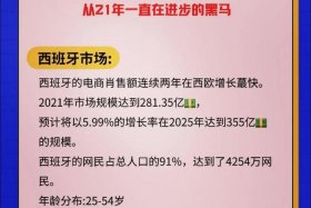 电商米兰；米兰网跨境电商优势与劣势