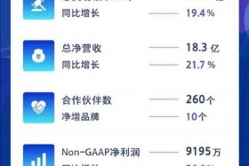 宝尊电商上市估值，宝尊电商上市估值多少