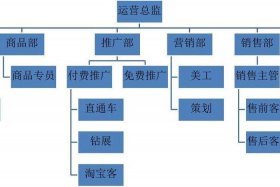 电商运营平台开发团队架构、电商运营平台开发团队架构怎么写