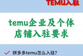 TEMU平台是什么电商；temu平台是什么电商