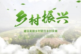 电商助农乡村振兴 - 电商助农乡村振兴PPT