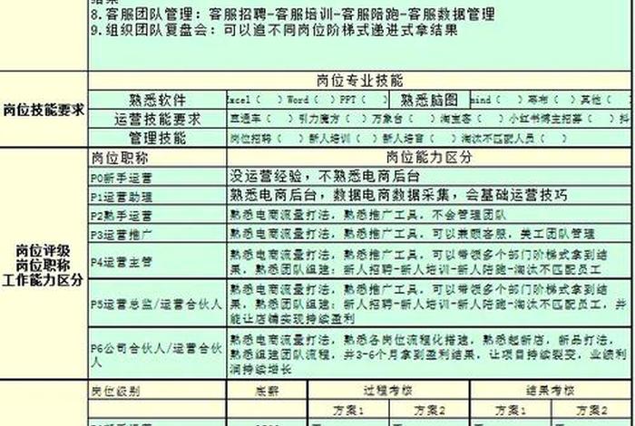 电商项目运营,电商项目运营岗位职责 电商项目运营,电商项目运营岗位职责