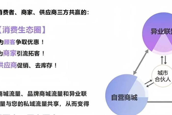 零售电商平台建设标书 - 电商零售平台有哪些