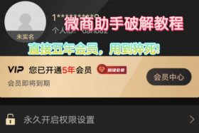 微电商软件（微商电商软件）