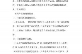 跨境电商营销决策 - 跨境电商营销决策实验报告