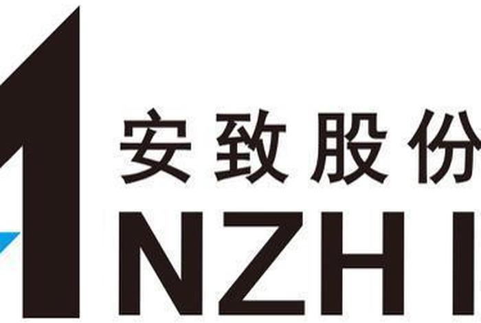 安致股份跨境电商（安致电子商务有限公司）
