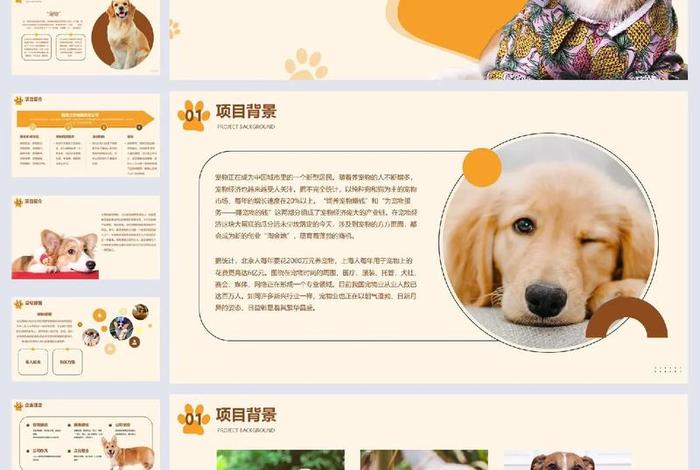 宠物用品电商服务项目策划书,宠物用品电商服务项目策划书模板 宠物用品电商服务项目策划书,宠物用品电商服务项目策划书模板