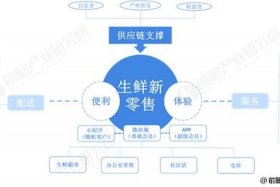 生鲜电商物流发展模式、生鲜电商物流发展模式研究