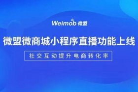 小程序电商客服话术；小程序电商客服话术模板