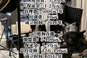 电商哥传媒直播（电商传媒有限公司）