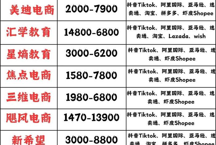 电商培训公司有哪些 - 电商培训公司有哪些类型 电商培训公司有哪些 - 电商培训公司有哪些类型