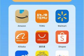 跨境电商哪个平台最好排行榜，跨境电商哪个平台前景好