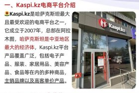 中远泛亚电商平台；中远泛亚电商平台是什么