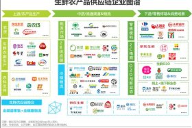 生鲜农产品电商供应链（农产品生鲜电商供应链采购模式研究）