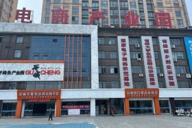 智谷电商有限公司 智谷电子商务有限公司