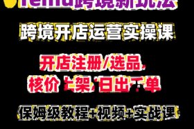 temu跨境电商运营教学（跨境电商运营视频教程）