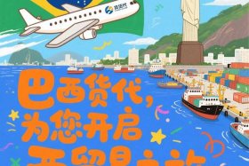 巴西电商小包物流（巴西小包走什么物流）