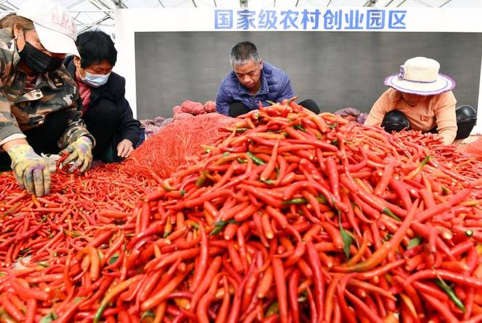 大丰收农业科技有限公司,大丰收农业科技有限公司电话 大丰收农业科技有限公司,大丰收农业科技有限公司电话