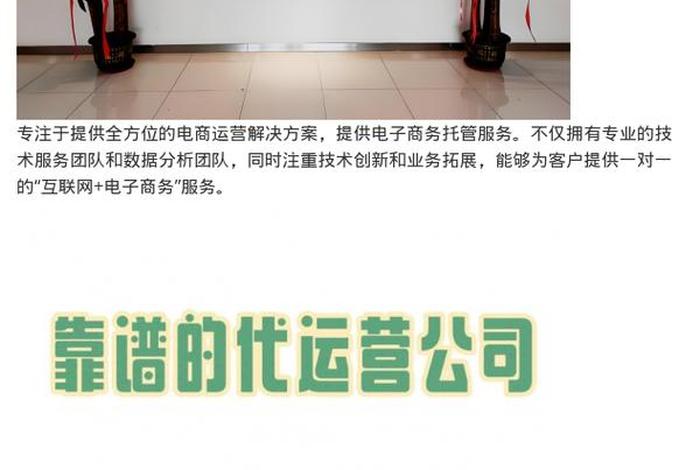 电商运行公司;电商运行公司有哪些 电商运行公司;电商运行公司有哪些