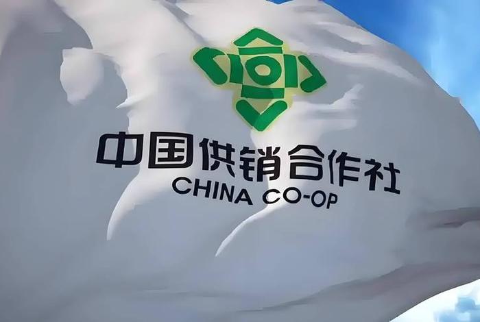 中国供销社合作成员企业;中国供销社合作成员企业有哪些 中国供销社合作成员企业;中国供销社合作成员企业有哪些