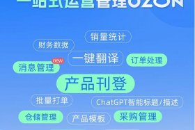 店小秘跨境电商erp官方网（店小秘跨境电商erp官方网下载）