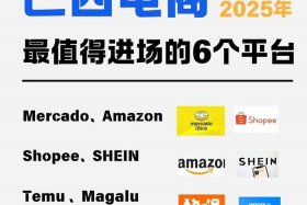 巴西网上购物平台，巴西网上购物平台官网