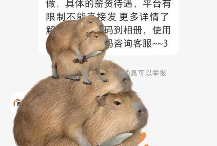 跨境电商招聘骗局,跨境电商招聘骗局曝光 跨境电商招聘骗局,跨境电商招聘骗局曝光