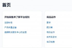 俄罗斯电商平台ozon如何注册，俄罗斯电商平台ozon入驻条件