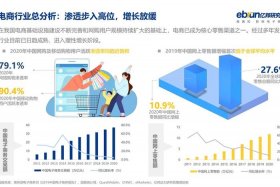 垂直电商类型 垂直电商类型包括