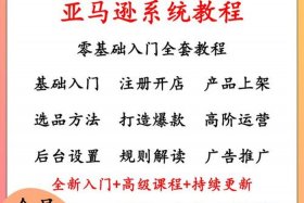 亚马逊跨境电商培训视频教程（亚马逊跨境电商培训视频教程下载）