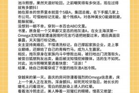 电商大佬小说（电商大佬小说在线阅读）