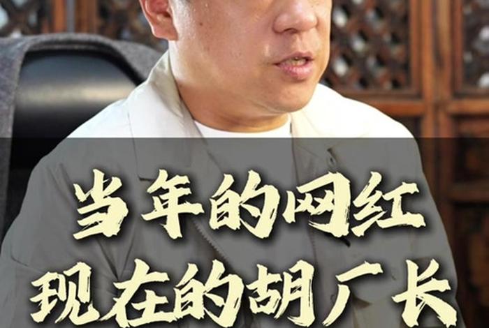 电商论坛 胡司令、胡司令电商达人传奇 电商论坛 胡司令、胡司令电商达人传奇