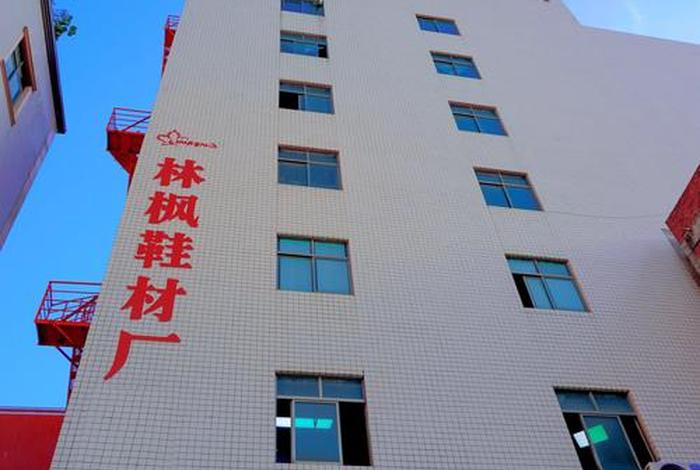 陈埭鞋都电商园,晋江陈埭镇鞋都电商园 陈埭鞋都电商园,晋江陈埭镇鞋都电商园