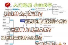 电商岗位晋升五个阶段（电商岗位晋升五个阶段是什么）
