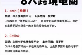 俄罗斯ozon电商平台入驻流程 - 俄罗斯电商平台ozon入驻条件