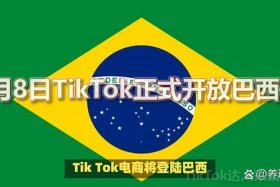 巴西电商平台哪个好；巴西有什么网购平台