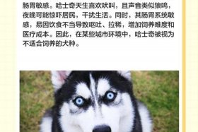 哈士奇电商插件不能用怎么回事（哈士奇电商插件不能用怎么回事儿）