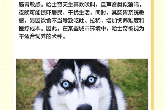 哈士奇电商插件不能用怎么回事(哈士奇电商插件不能用怎么回事儿) 哈士奇电商插件不能用怎么回事(哈士奇电商插件不能用怎么回事儿)