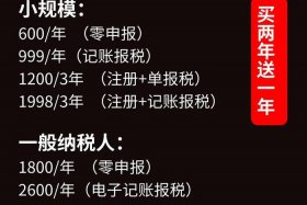 东莞电商报税；东莞电商报税时间