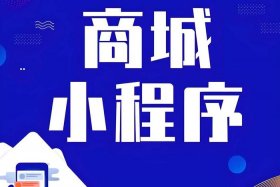 小程序电商程序，电商小程序开发平台