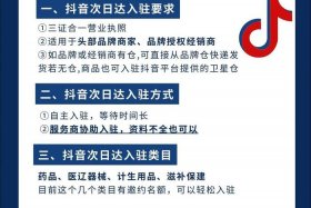 抖音电商入驻平台入口官网 - 抖音电商入驻平台入口官网查询