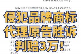 电商侵权赔偿标准 电商侵权赔偿标准是什么