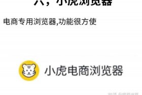 小虎电商浏览器官方下载、小虎电商浏览器官方下载安装