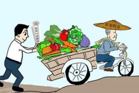 电商扶贫衍生出了怎样主要的扶贫模式（电商扶贫是什么样的新概念）