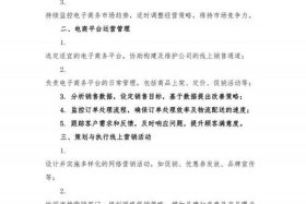 电商技术运营（电商技术运营岗位职责）