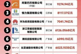 中国电商企业排名 中国电商企业排名榜