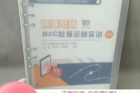 中级电商 - 中级电商