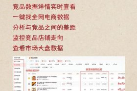 电商平台数据分析属于电子商务嘛、电商平台数据分析软件