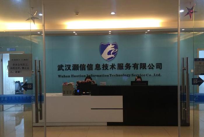 武汉电商小公司 武汉电商小公司排名