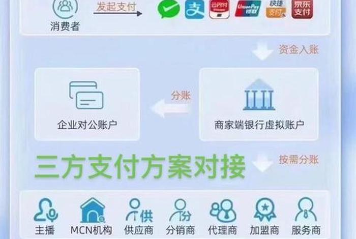电商商家入驻代付打款验证入什么科目，电商商家入驻代付打款怎么做账